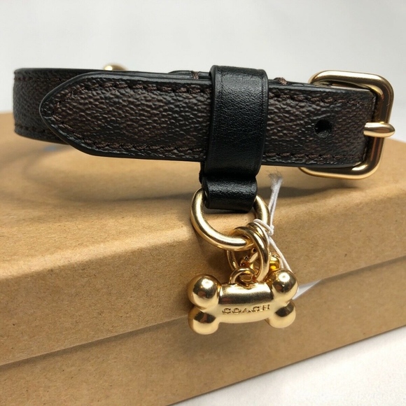 Coach Other Coach Small Pet Coated Canvas Collar Signature Poshmark